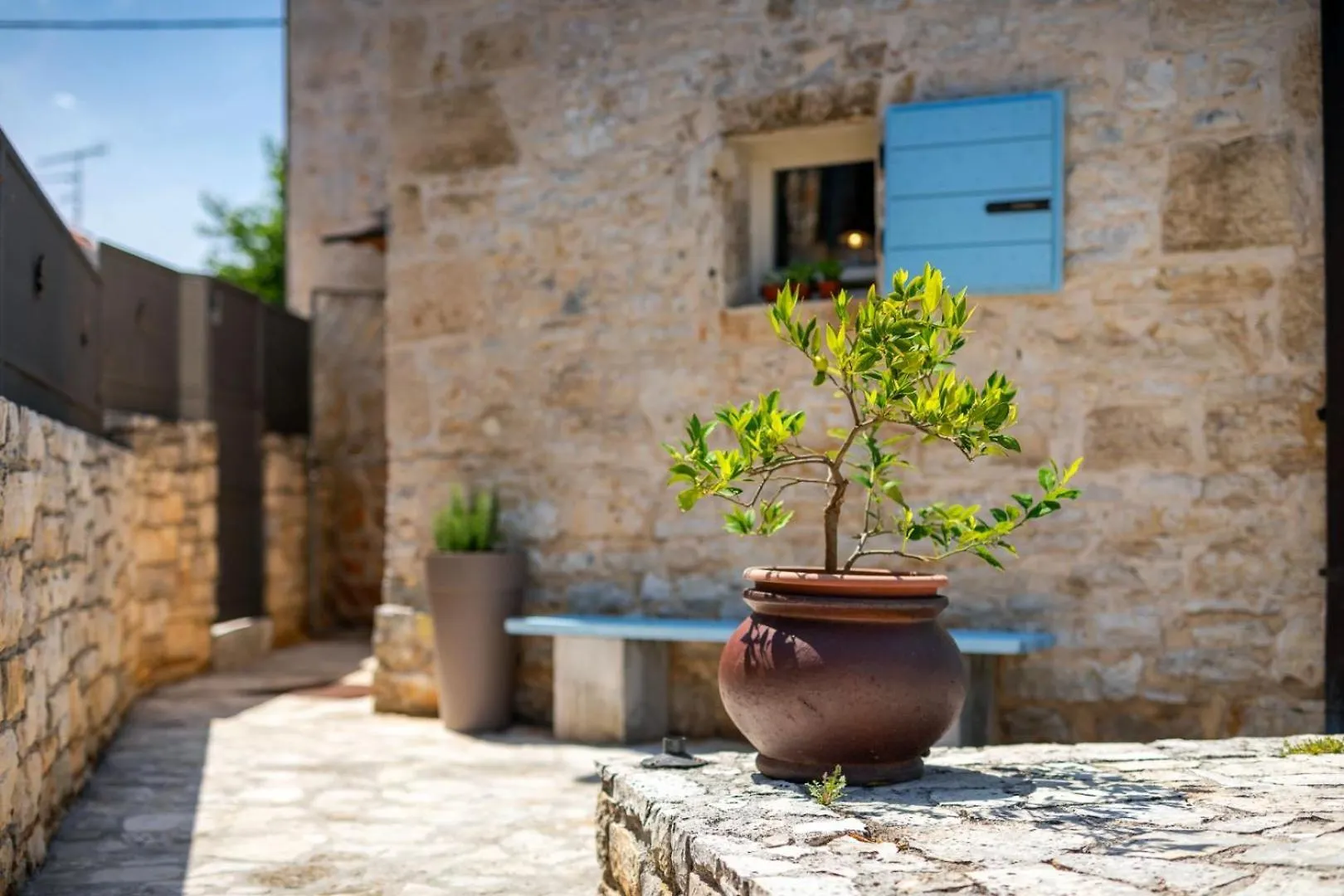 Rustic Villa Casa Tessa With Outdoor Pool In Tar Tar-Vabriga